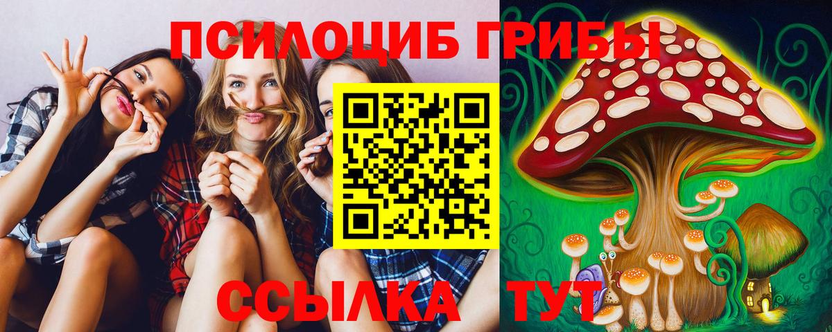 Псилоцибиновые грибы прущие грибы Новоалександровск